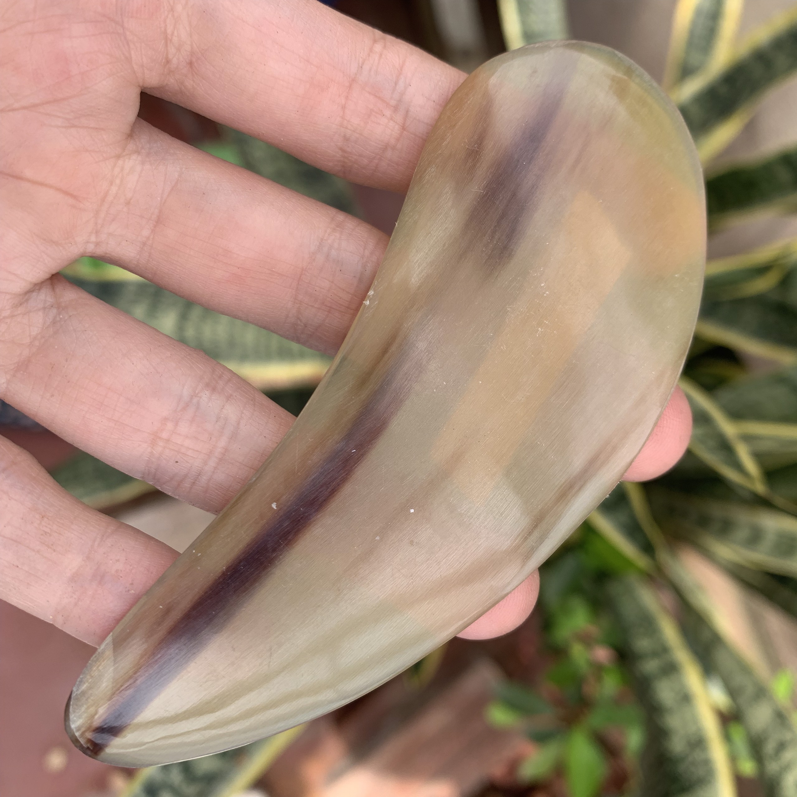 Cạo gió dẹp - THẺ ĐIỆN CHẨN BẰNG SỪNG - Ngăn ngừa các bệnh qua da trên vùng mặt và toàn thân - HAHANCO [MH829]