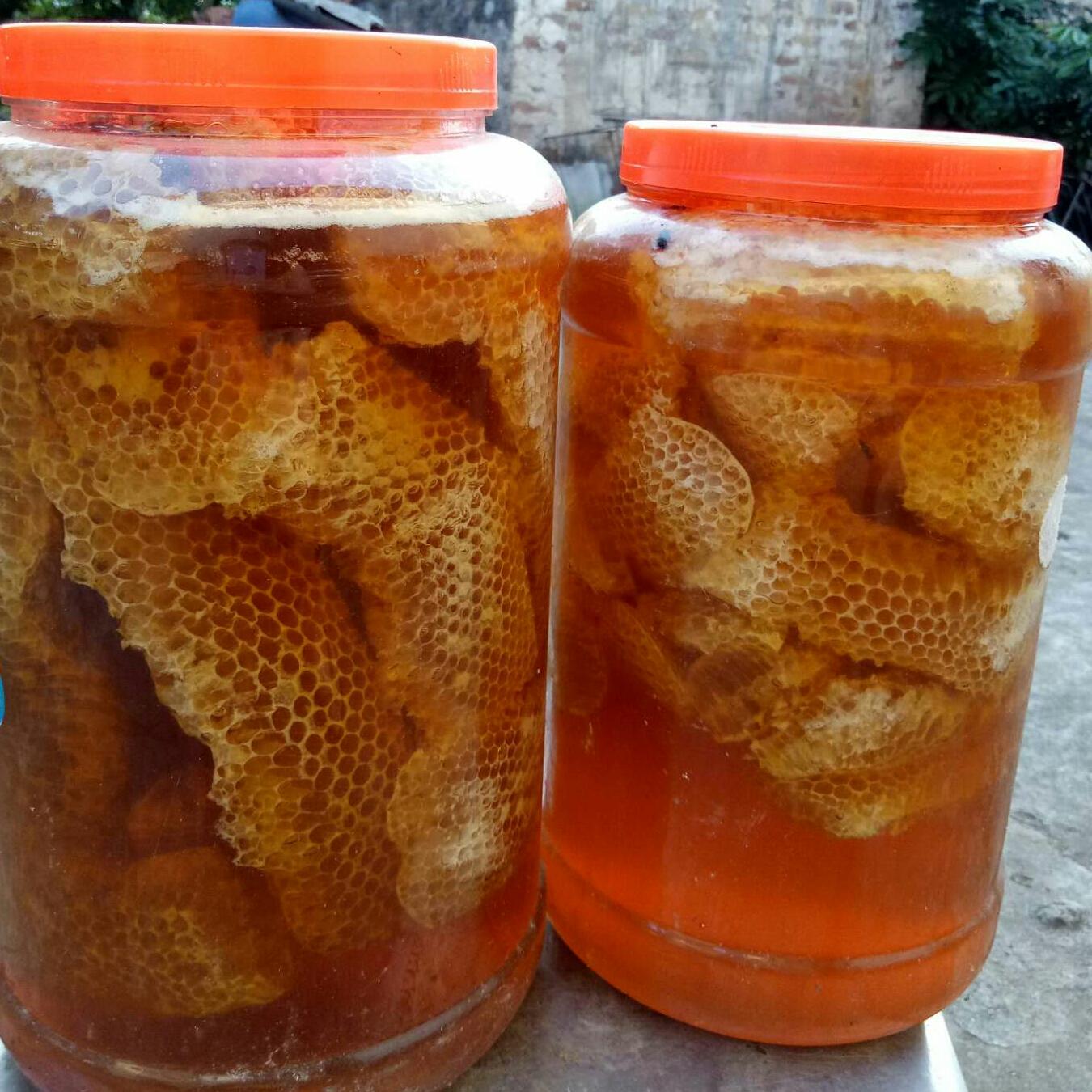1kg Mật ong rừng nguyên sáp