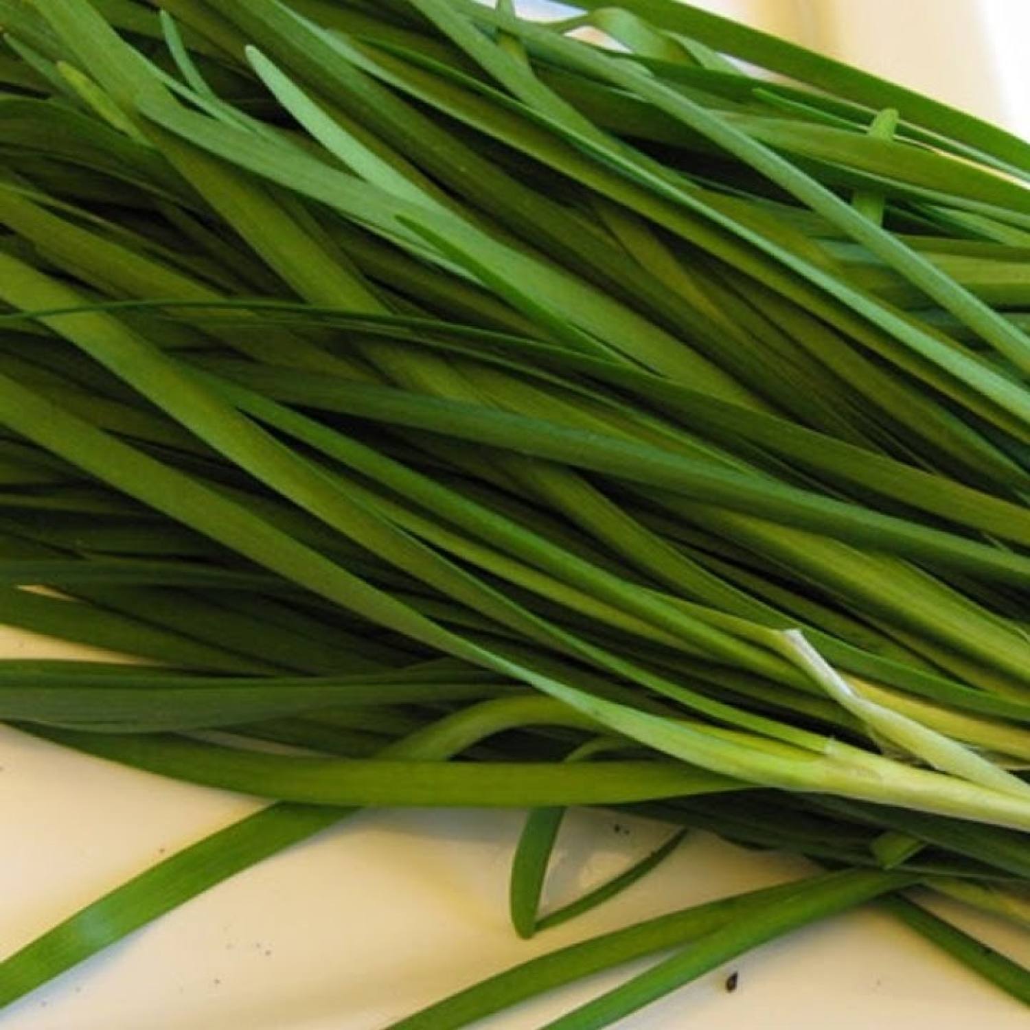 Hạt giống hẹ lá gói 1 gam