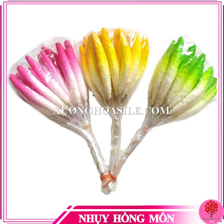 Nhị hồng môn làm hoa