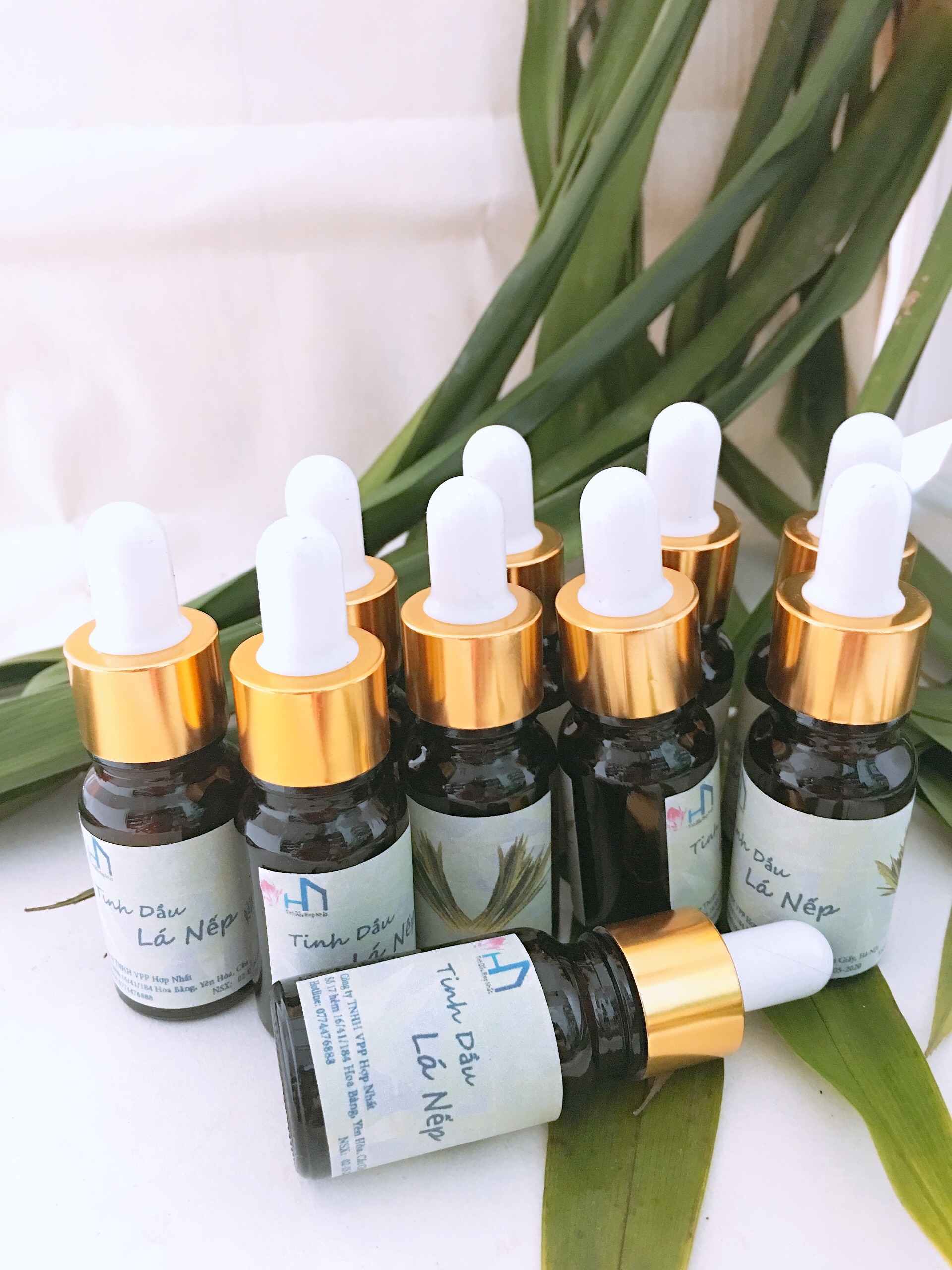 Tinh dầu Lá Nếp thơm lọ 10ml
