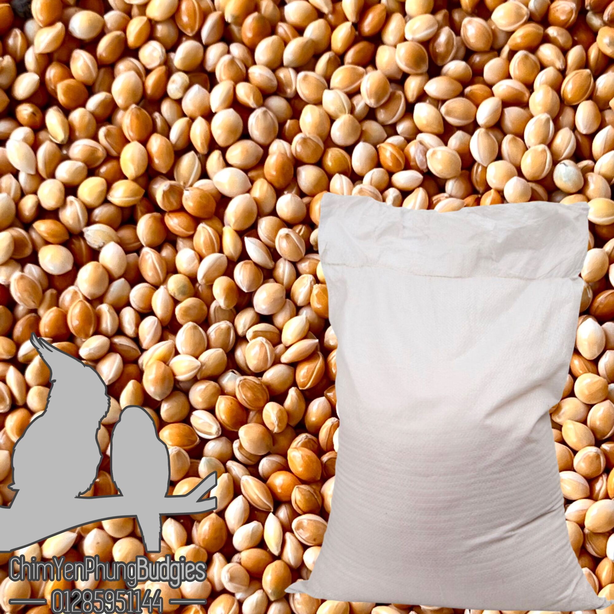1 bao 25kg kê bóng vàng - thức ăn: yến phụng • sóc • gà kiểng • cu gáy..
