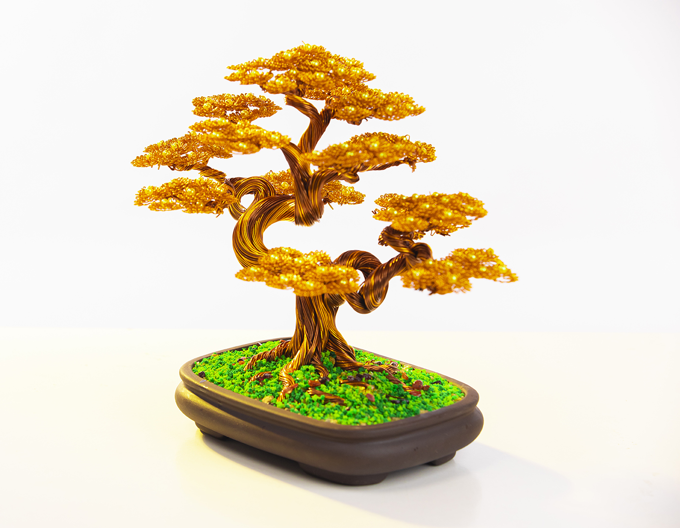 Cây tài lộc bonsai phong thủy (5 màu phong thủy)