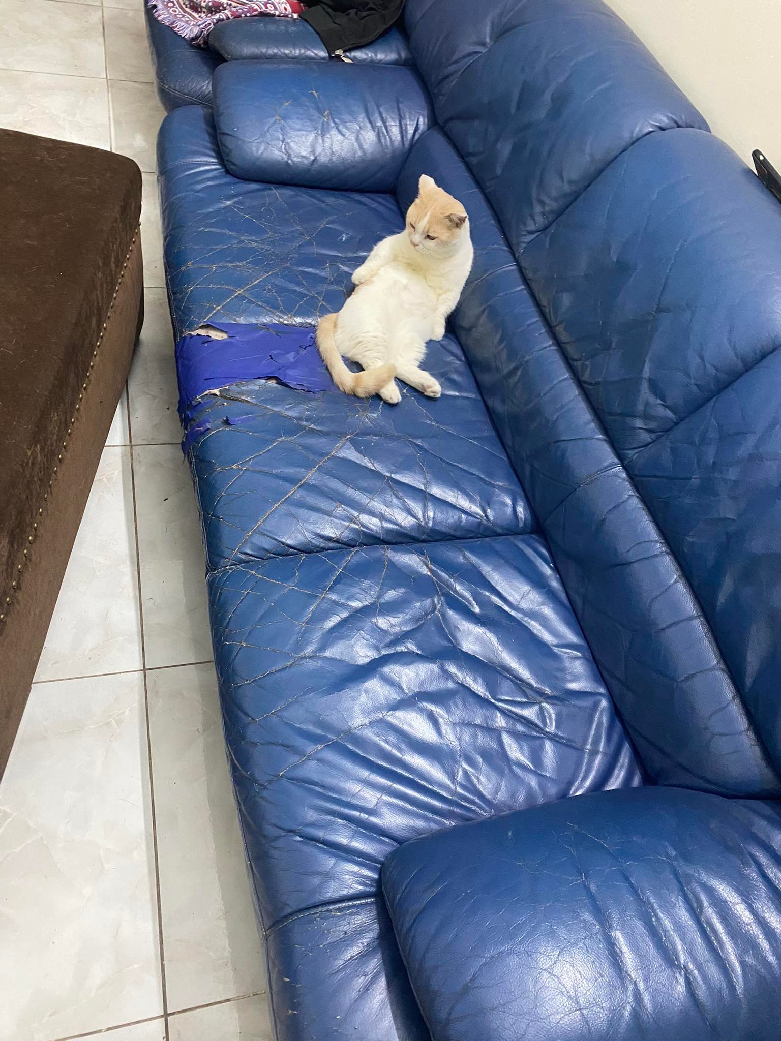 Da sofa, da PU tự dính dán ghế da, ghế sofa, đồ da