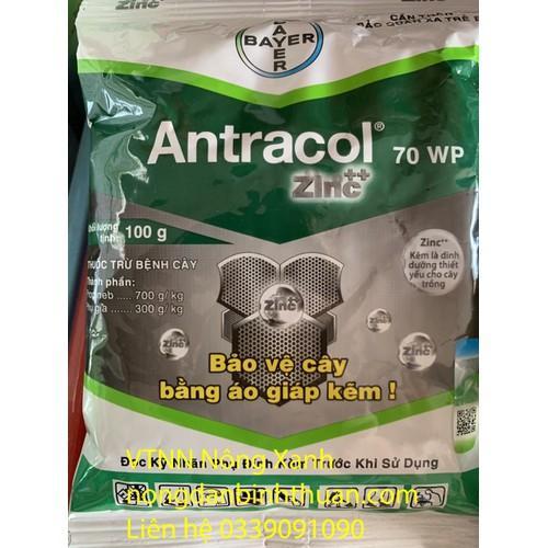 Antracol 70 WP - Thuốc Trừ Nấm Bệnh Cây Trồng Antracol (70WP) GÓI 100G