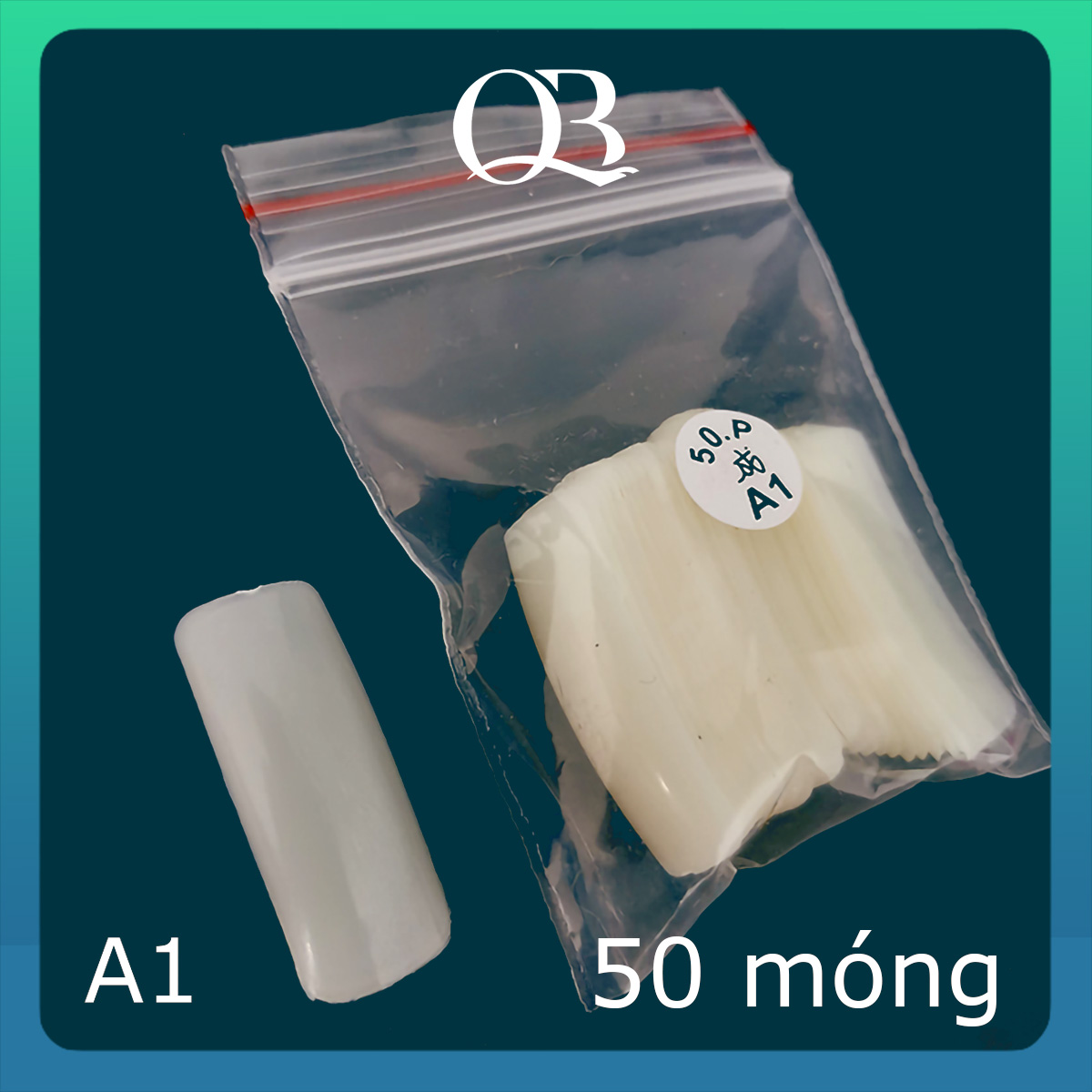 Móng giả tập vẽ mẫu nail móng tập sơn tập vẽ F4, A1, A2, F1, M1