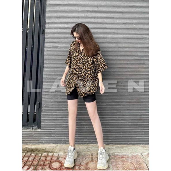 Set áo somi beo kèm quần ngố ( hình thật ở cuối )