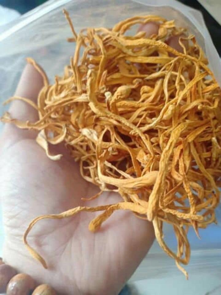 ĐÔNG TRÙNG THẢO (LOẠI 1) 100g