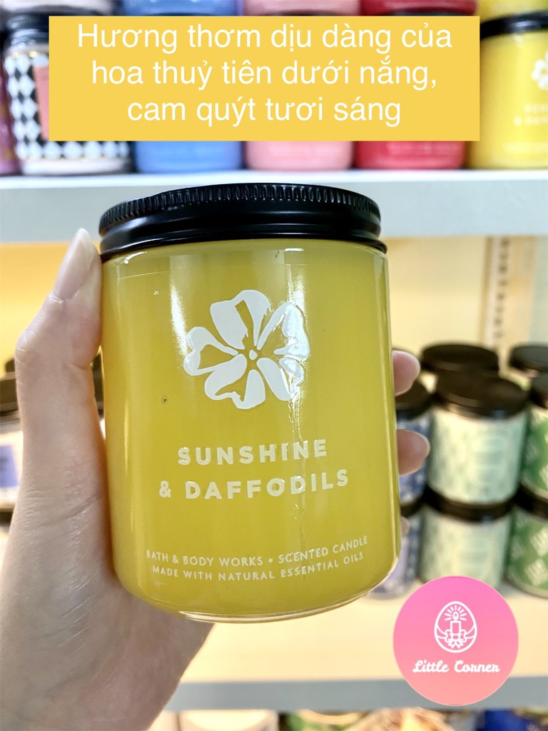 Nến thơm 1 bấc Bath and Body Works 198g - Tone bánh trái