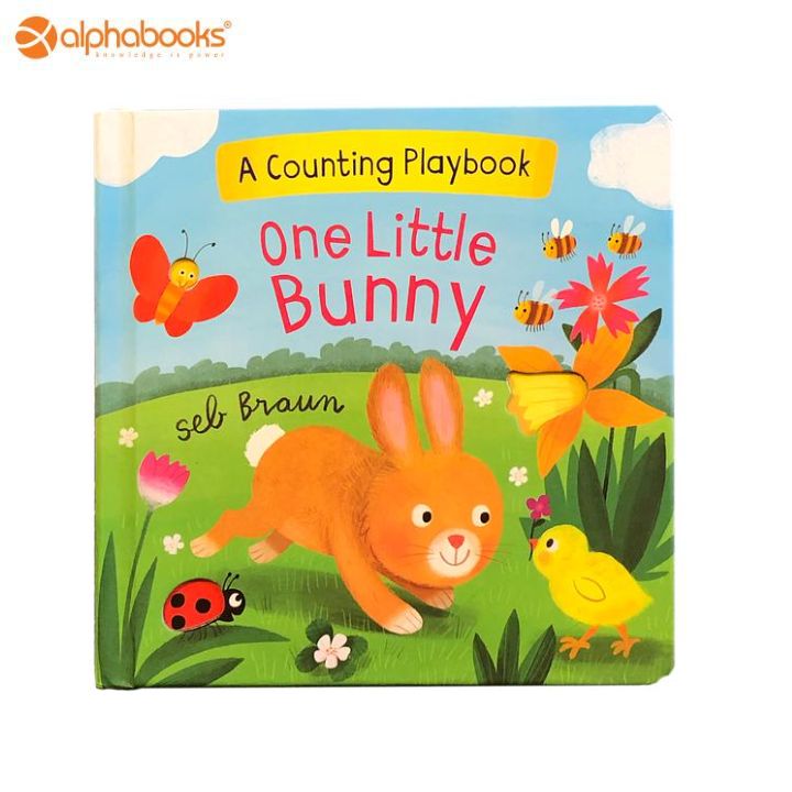 Baby Book: One Little Bunny