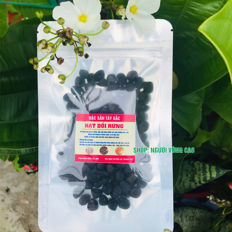 Combo Hạt Dổi  + Mắc Khén Rừng [Thơm, Ngon] - Gia Vị Tây Bắc - Làm Đồ Chấm, Ướp Thịt, Cá, Tiết Canh......