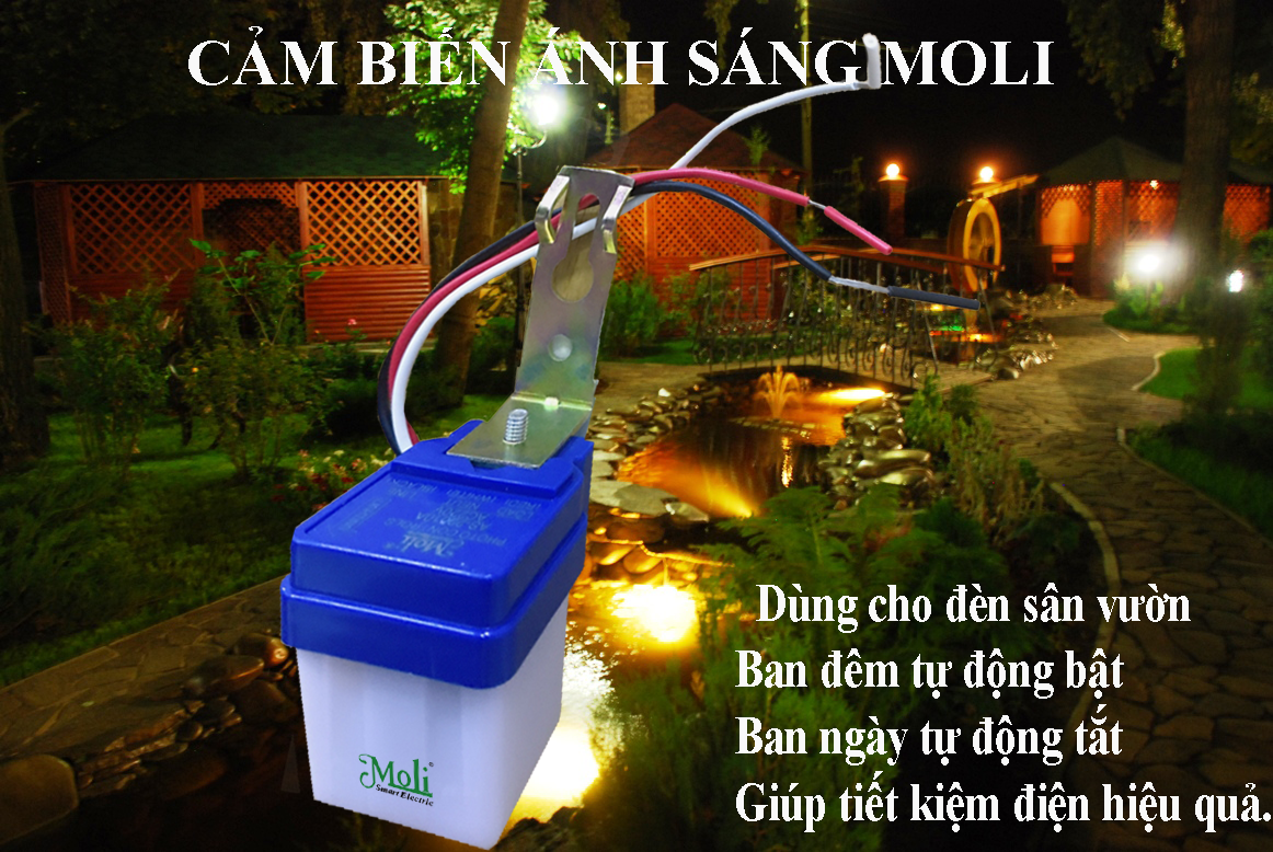 [HCM]CẢM BIẾN ÁNH SÁNG