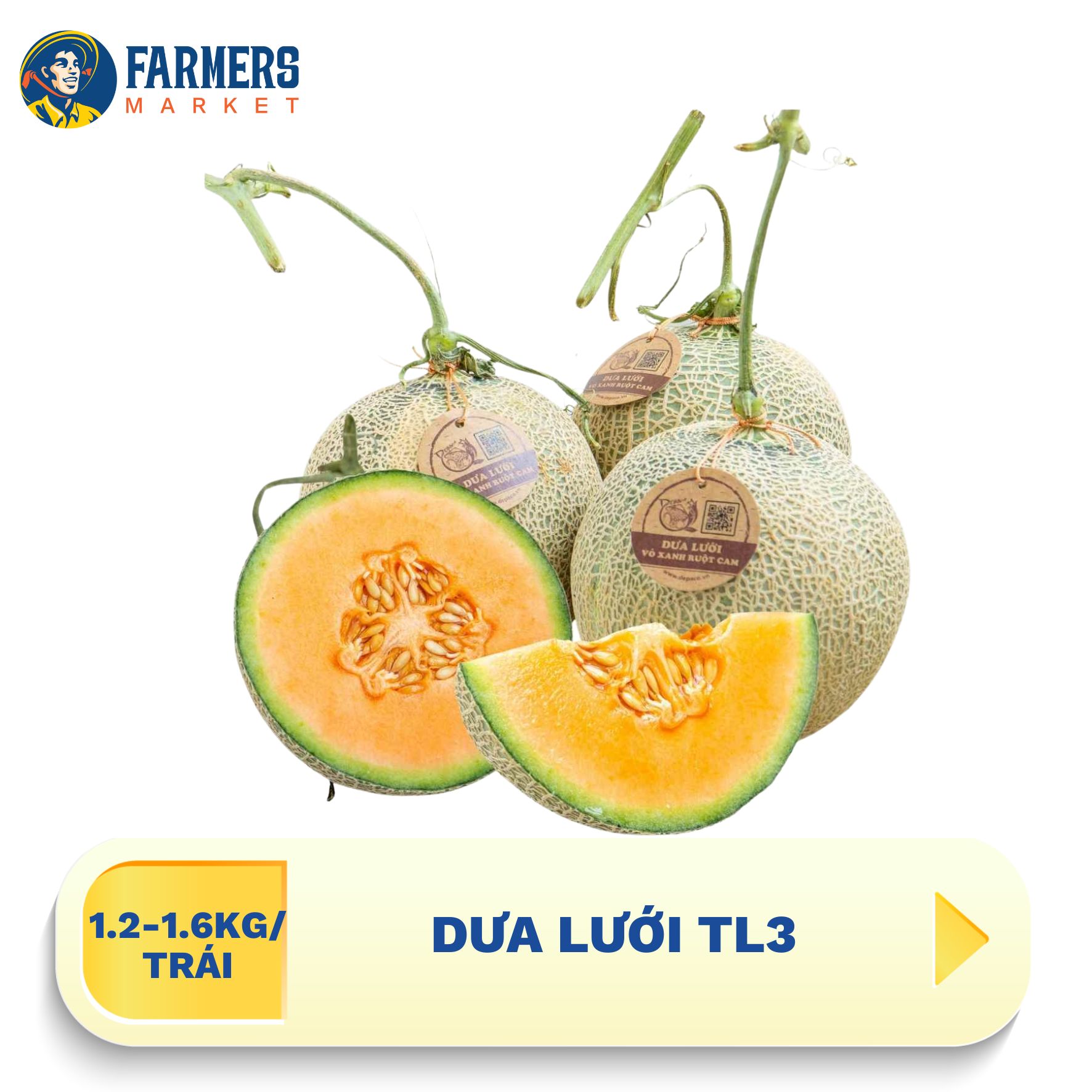 [chỉ giao nội thành hcm] dưa lưới tl3 (1.2-1.6kg/ trái)