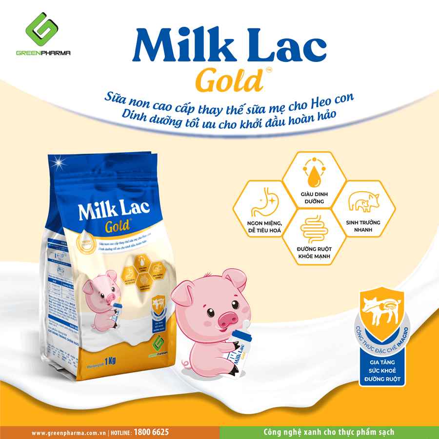 Milk lac gold - sữa cho chó, mèo, lợn, heo con/sữa non thay thế sữa mẹ cho heo con, chó, mèo