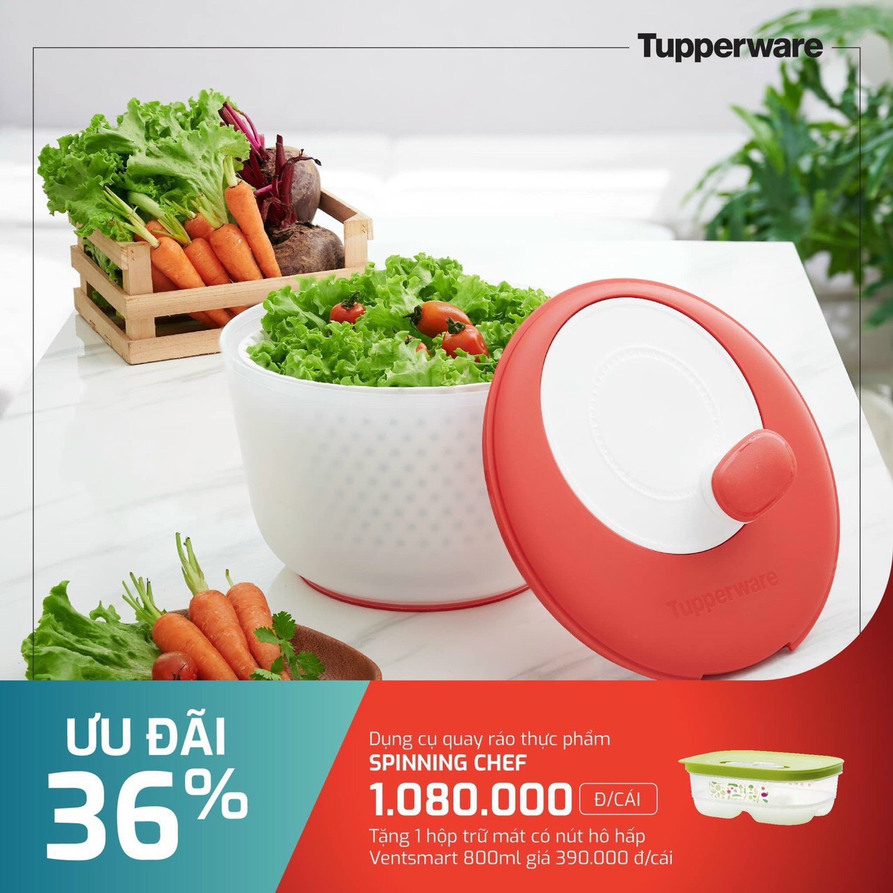 Tupperware rổ quay rau Spinning Chef, dụng cụ quay rau