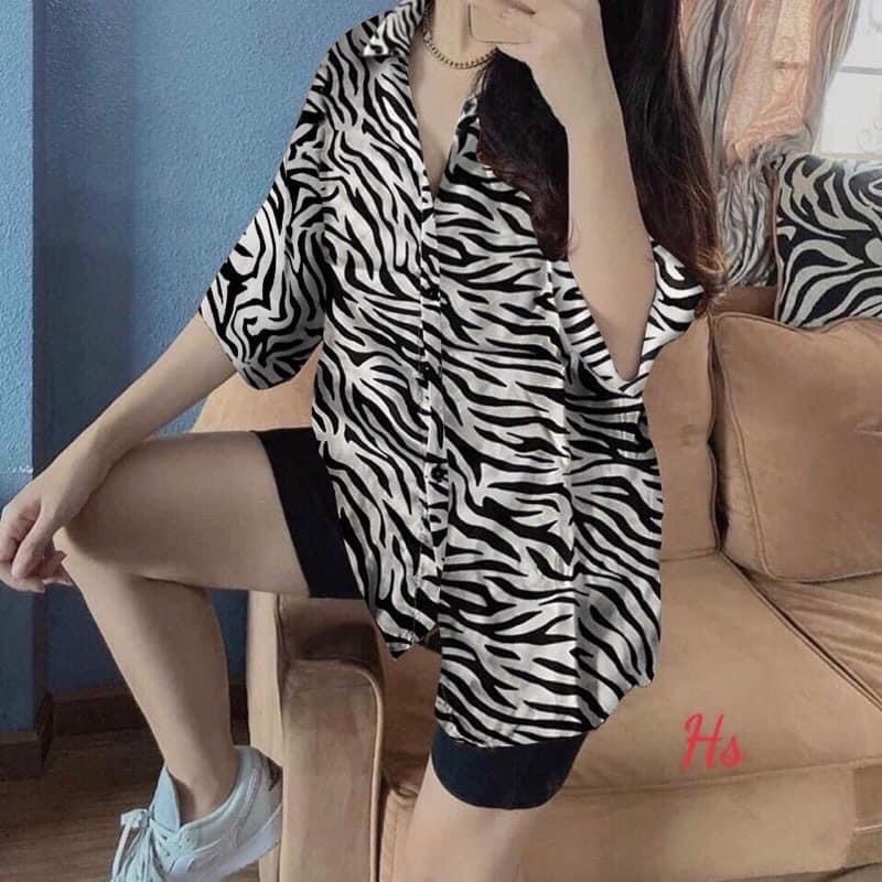 sơ mi voan hàn quốc