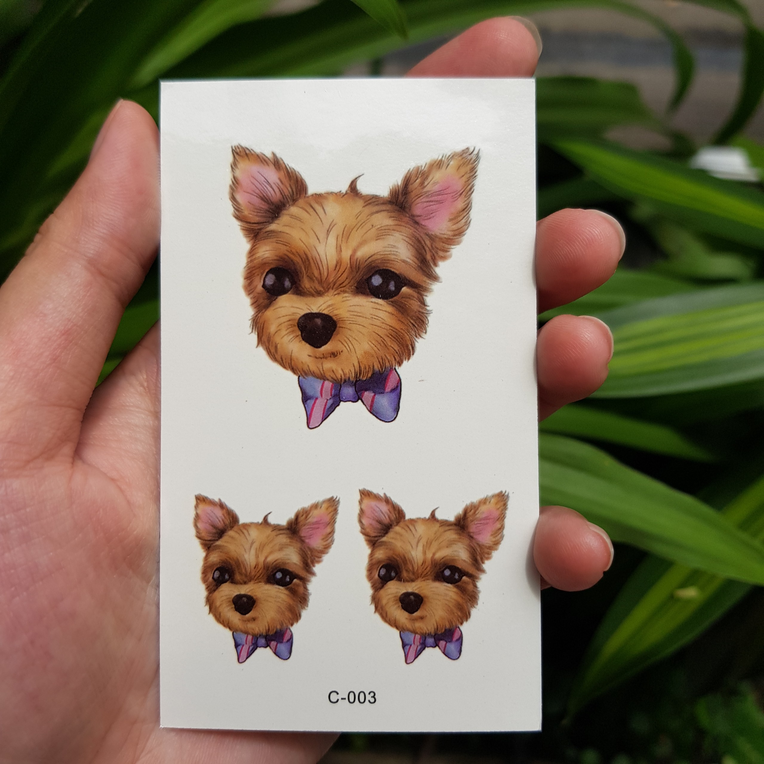 Hình dán chó cún nâu poodle c03