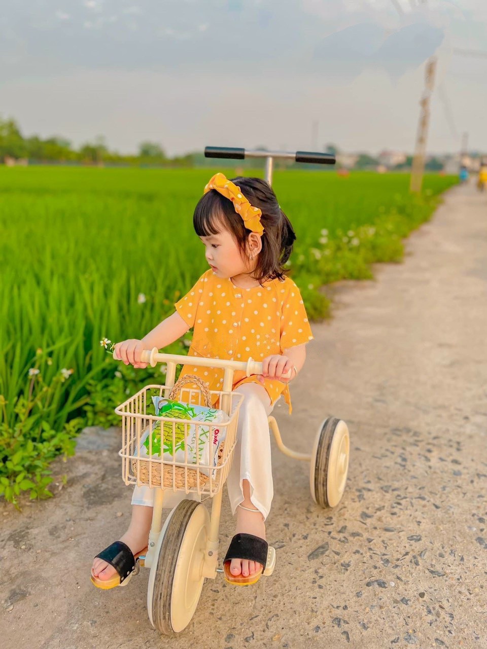 BỘ BÀ BA LỤA HOA CHO BÉ