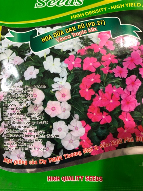 HẠT GIỐNG HOA DỪA CẠN RỦ