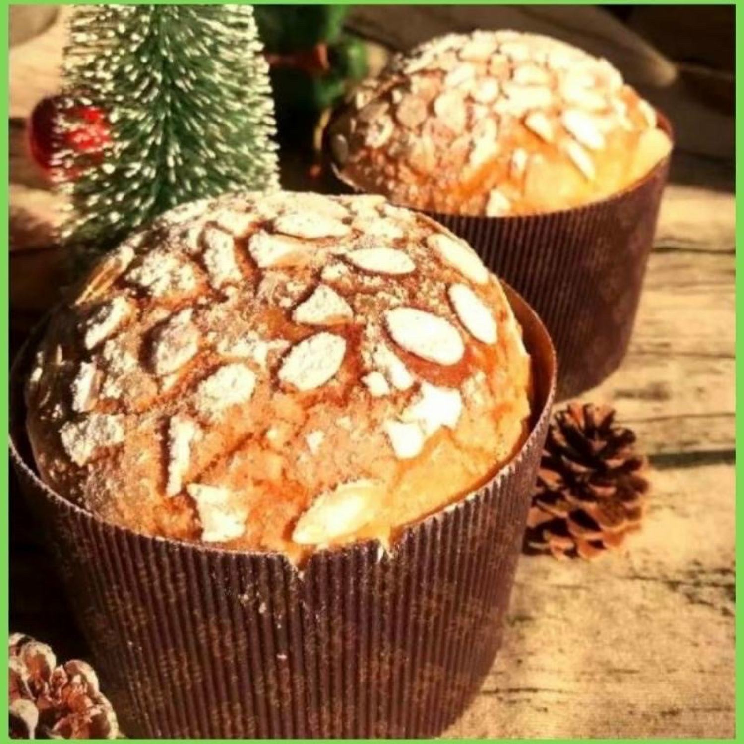 5 Khuôn Bánh Panettone