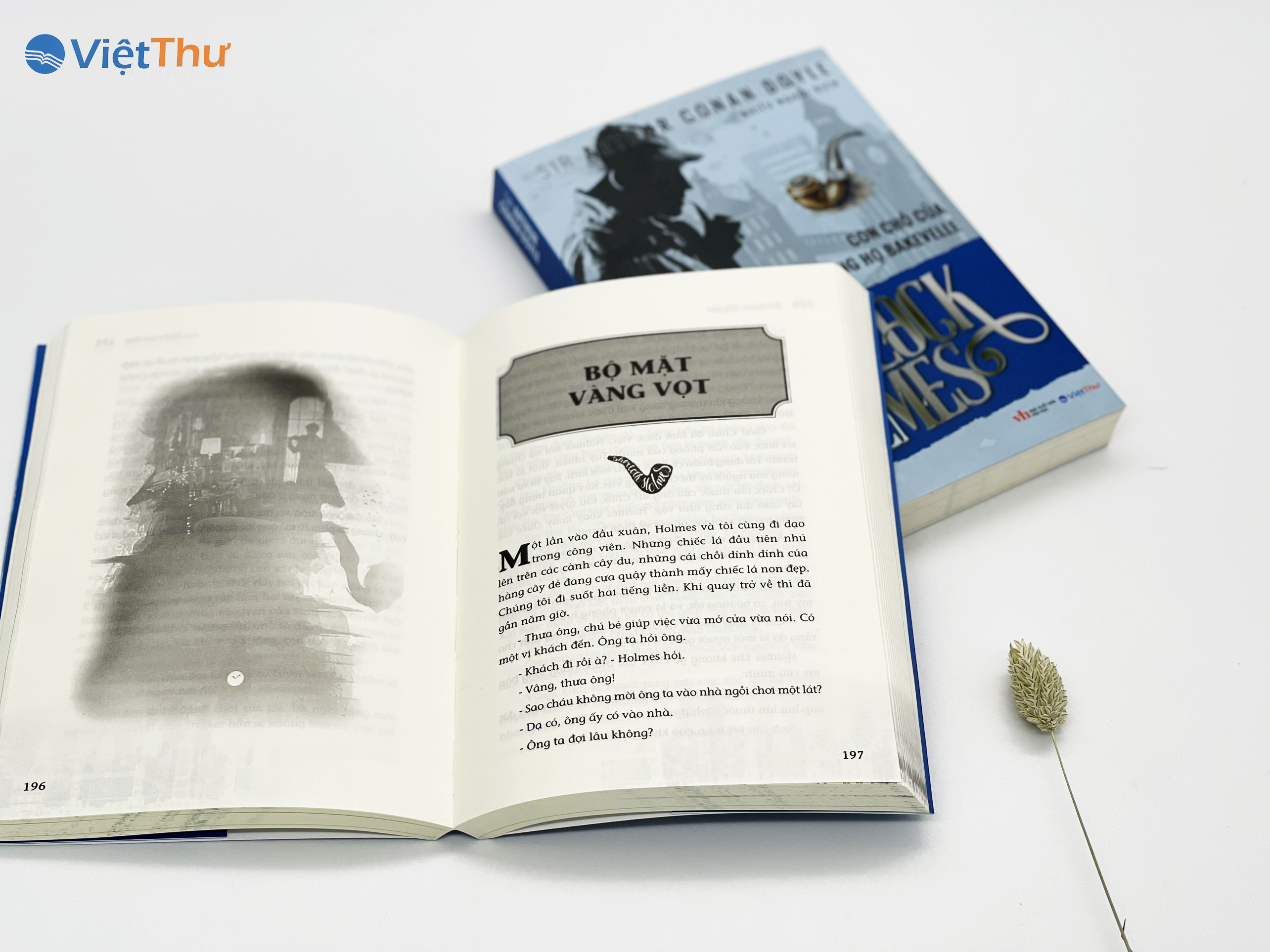 Sherlock Holmes - Con Chó Của Dòng Họ BAKJEVELLE (Bìa Mềm)(VT)
