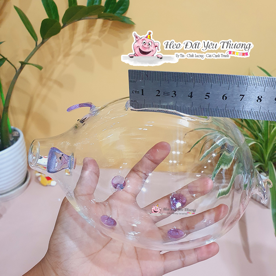 Lợn thủy tinh tiết kiệm size 2 và size 3
