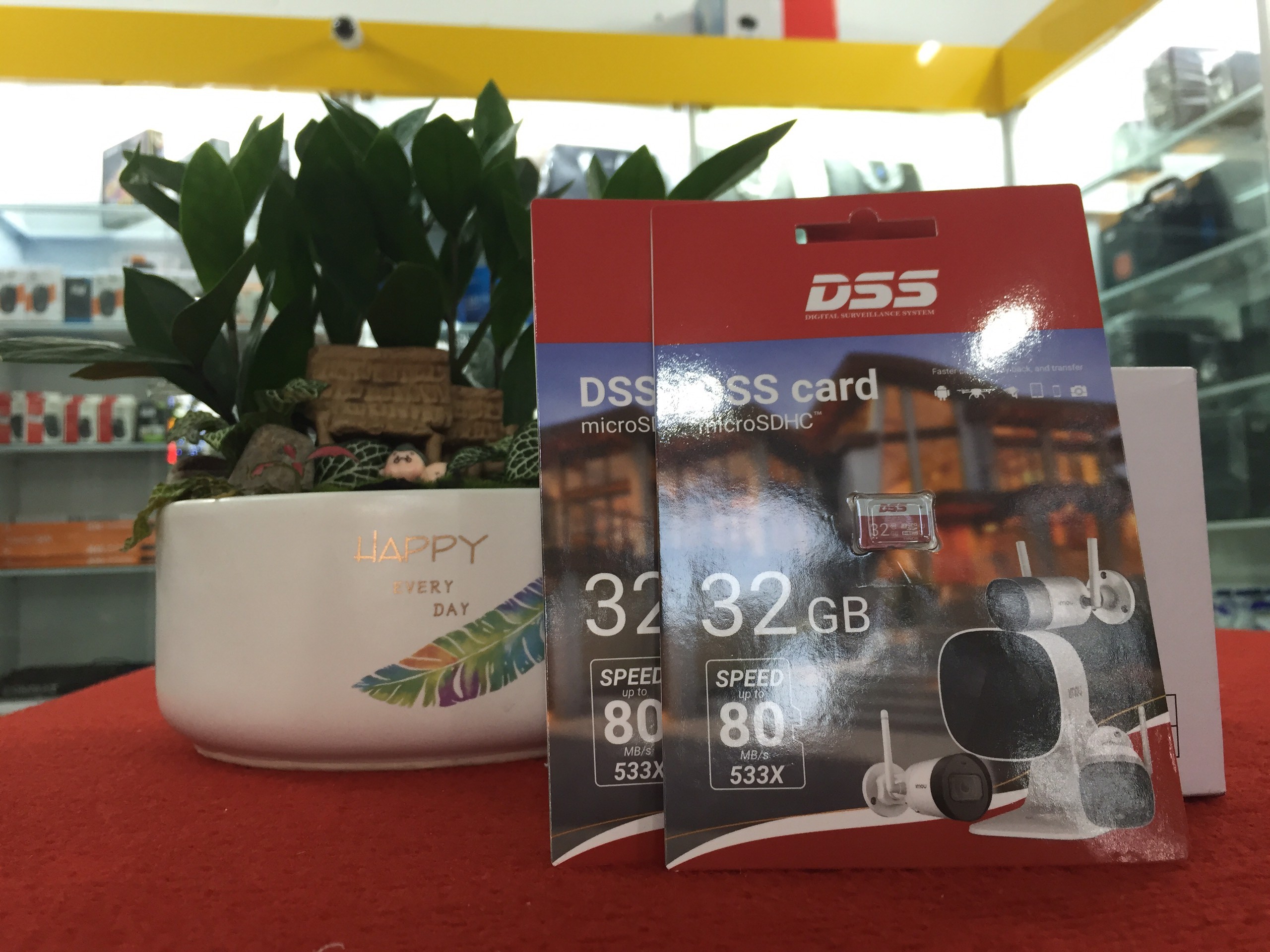 Thẻ Nhớ MicroSD DSS 32Gb Class 10 (Thẻ Chuyên Dụng Cho Camera, Điện Thoại)