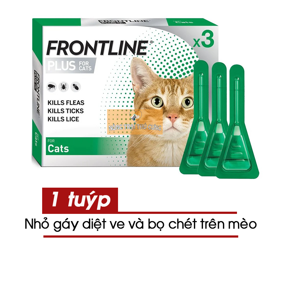 Thuốc Nhỏ Gáy Trị Ve và Bọ Chét Trên Mèo - FRONTLINE PLUS CAT - 1 tuýp - Nông Trại Thú Cưng