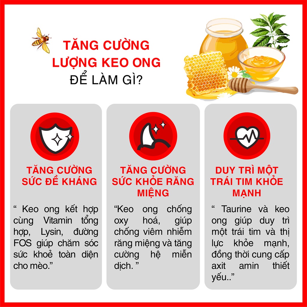 TODAY'S DINNER - HẠT THỨC ĂN CHO MÈO MỌI LỨA TUỔI 1KG