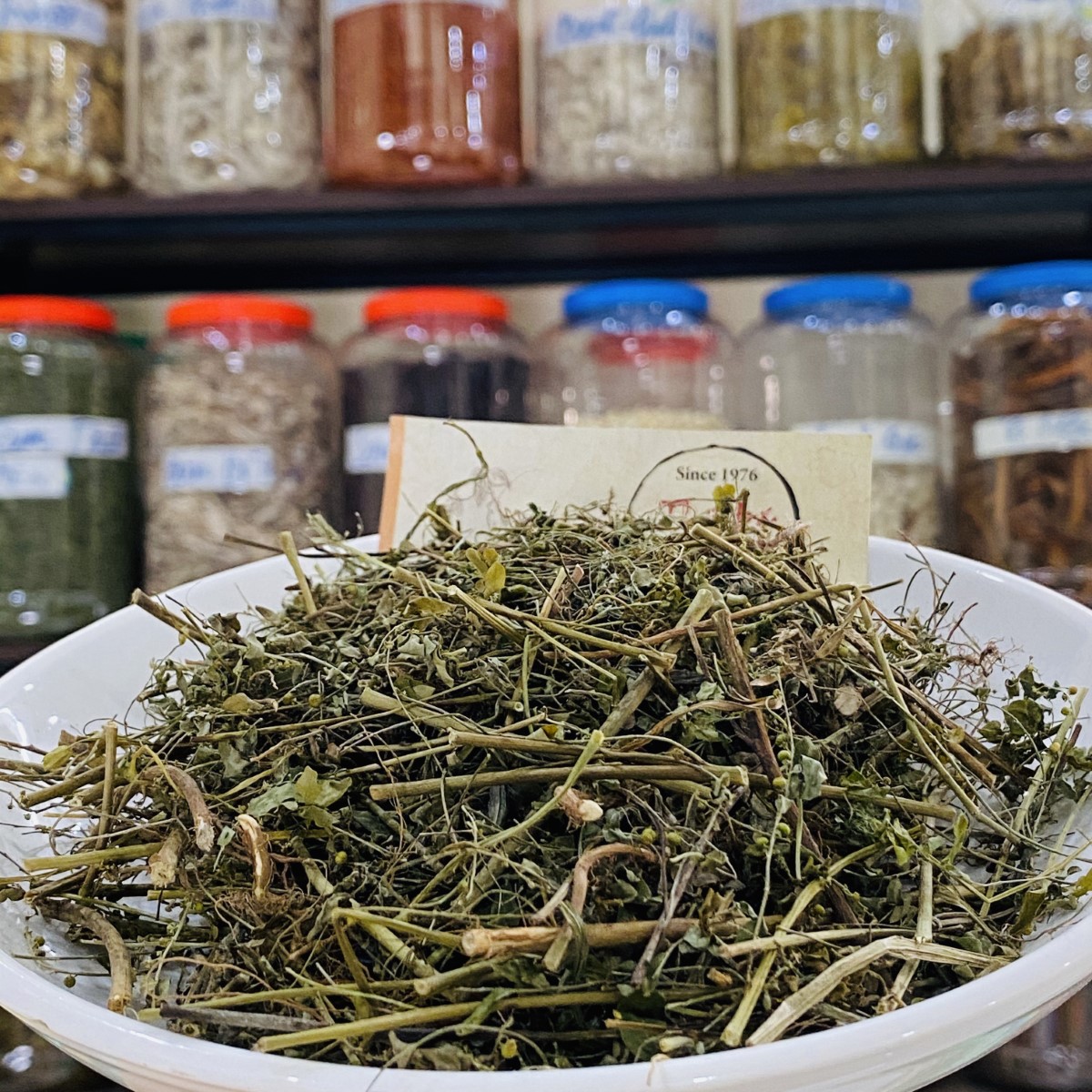 1kg Bitter Dog (Diep Ha Chau)