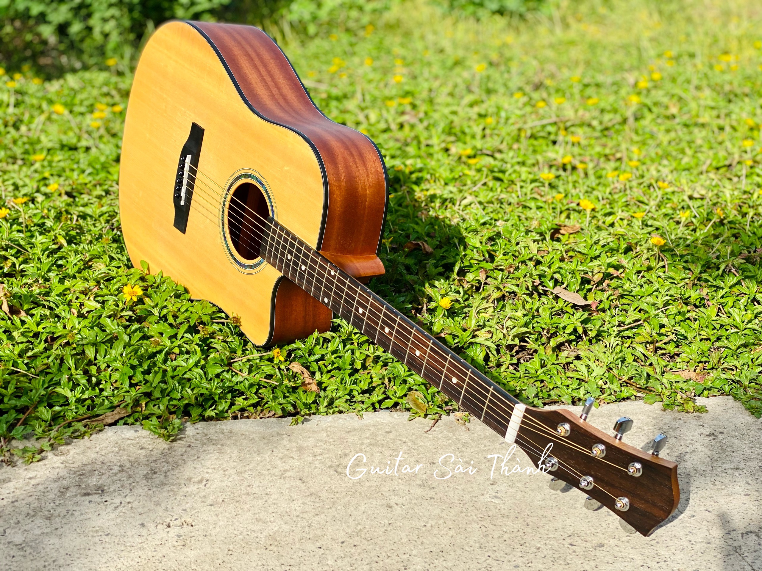 (Miễn Phí Ship) Đàn Guitar Acoustic Gỗ Mahogany TQ-A2