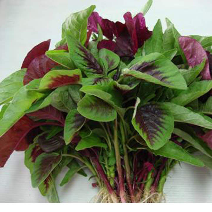 Hạt giống rau dền khoang 20g