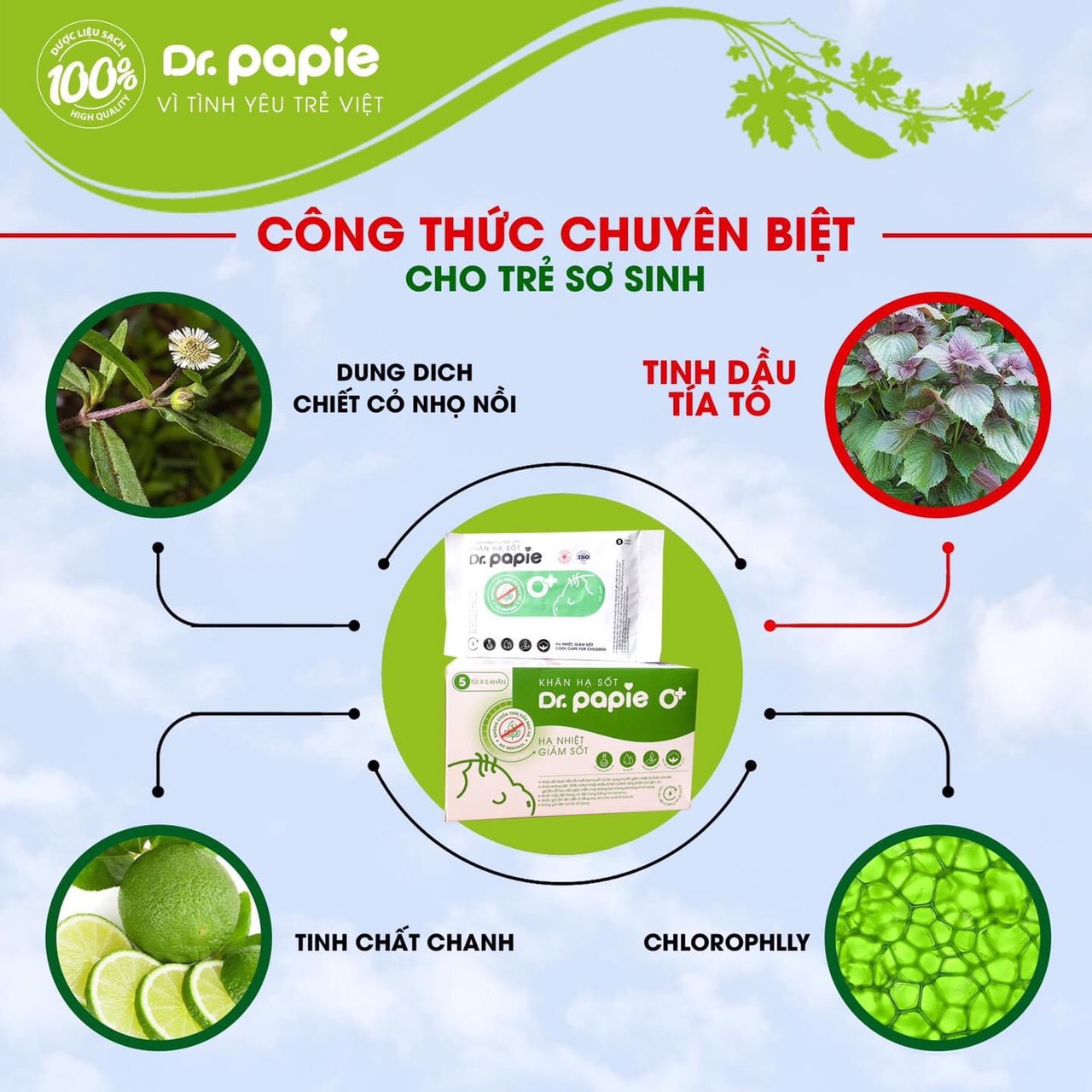 Khăn Lau Hạ Sốt Dr Papie Hộp 5 Gói (5 Khăn/Gói)
