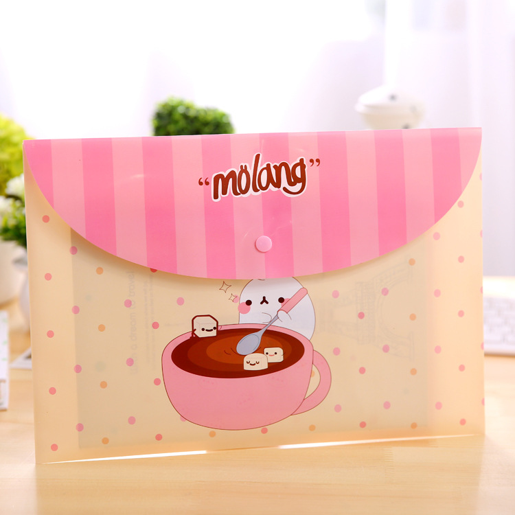 Túi đựng tài liệu khổ a4 loại đẹp