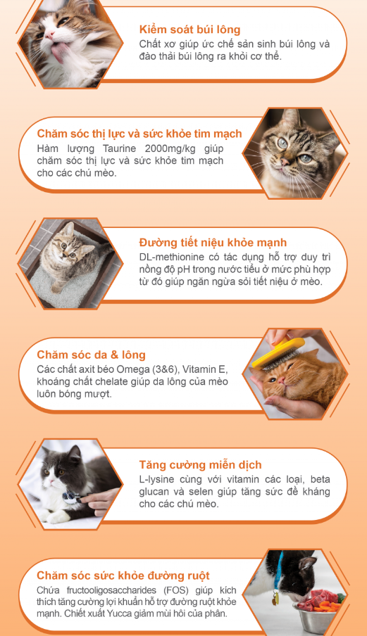 [2kg] Catsrang National Grain Food for Cats of All Ages, 2kg Bag