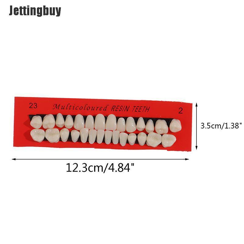 Jettingbuy 28Pcs/Set Resin Teeth Teaching Model Universal False Teeth Dental Material Teeth