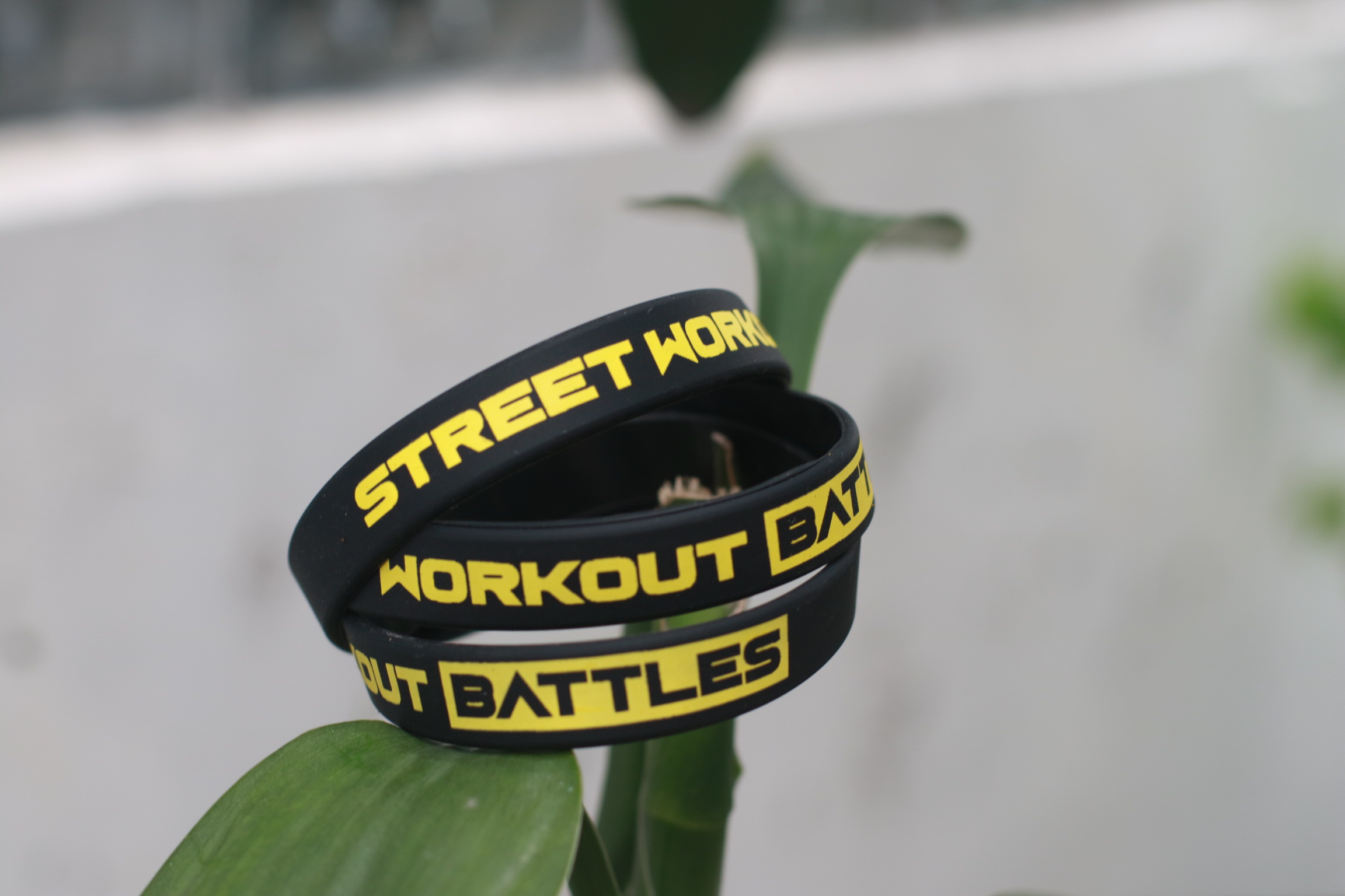 Vòng Street Workout
