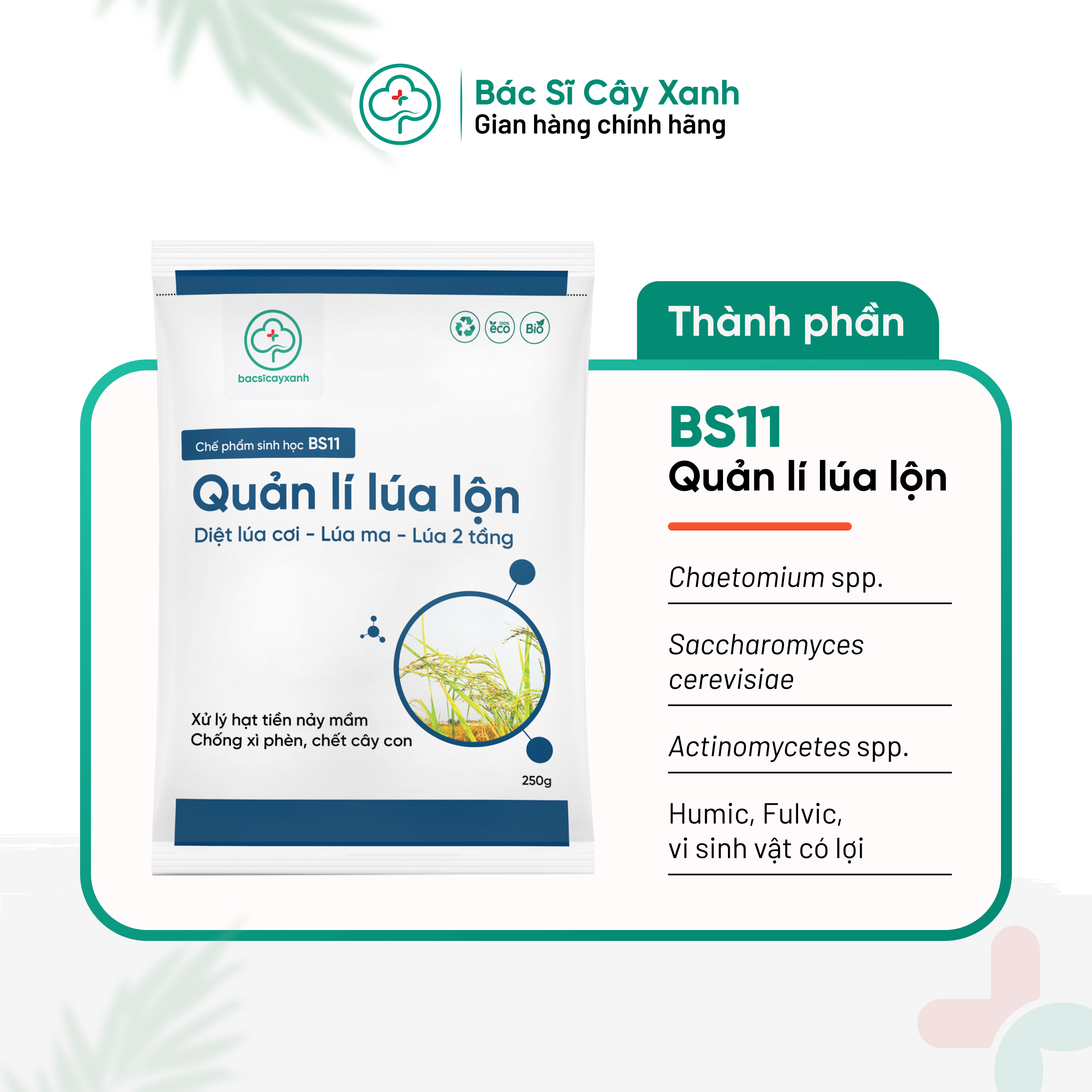 Combo 5 Gói Quản Lý Lúa Lộn Lúa Cỏ Lúa Ma BS11 500g - Chống Xì Phèn Không Ảnh Hưởng Lúa Sạ - Bác Sĩ Cây Xanh
