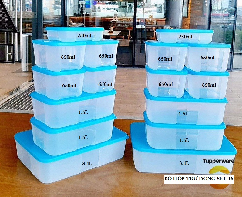 Bộ 16 hộp trữ đông Tupperware