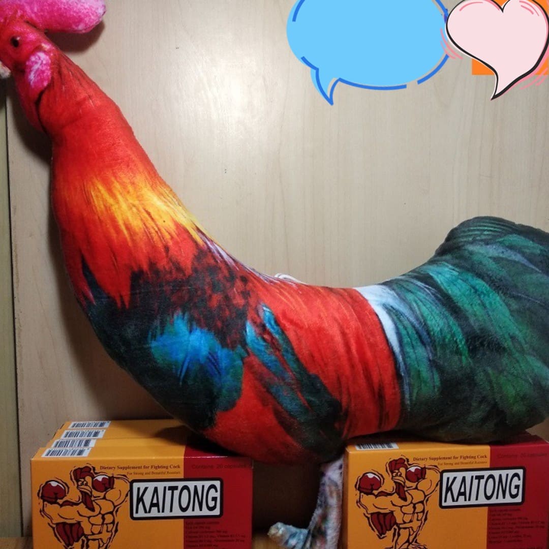 ( hình thật)Thú bông 3D cao cấp