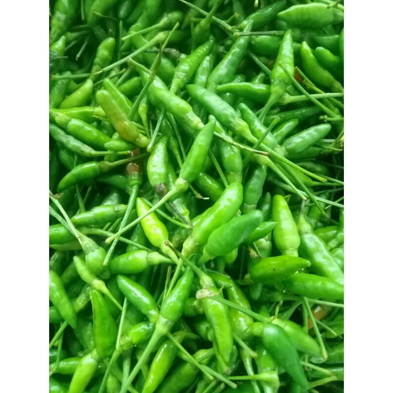 ớt thóc xanh 150k/kg