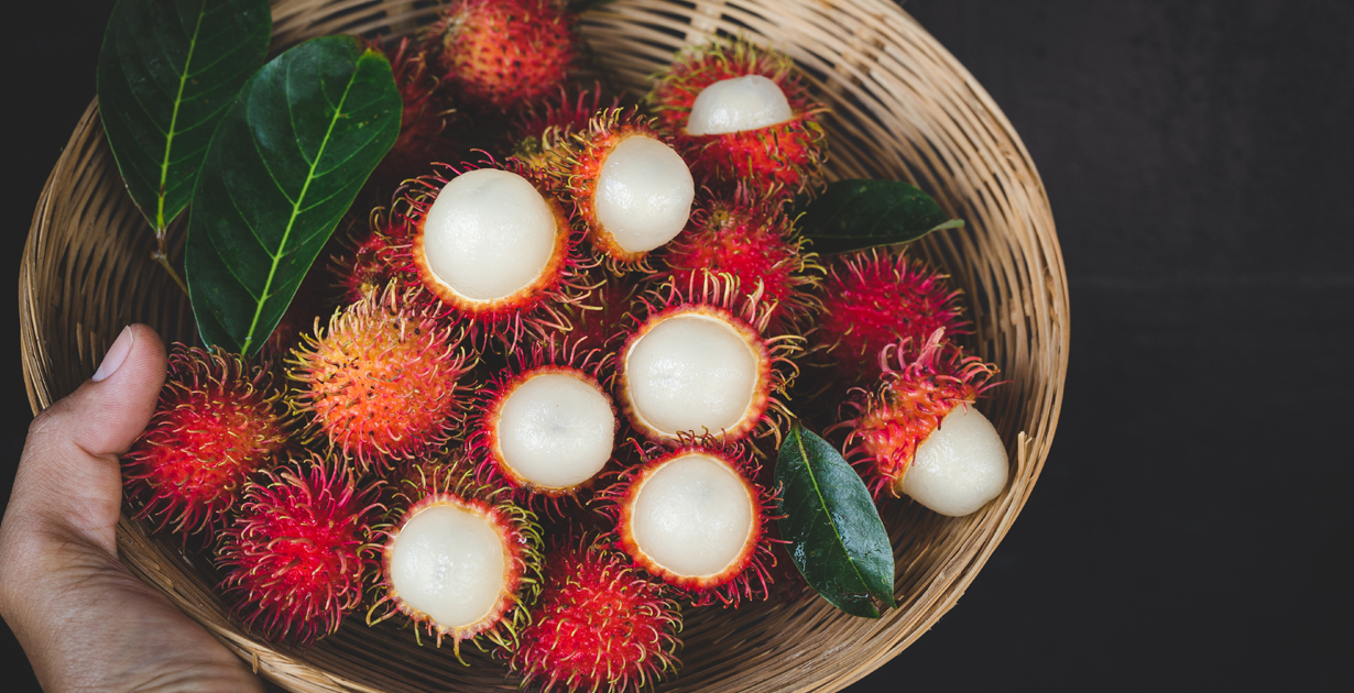 [CHỈ GIAO HCM] - CHÔM CHÔM