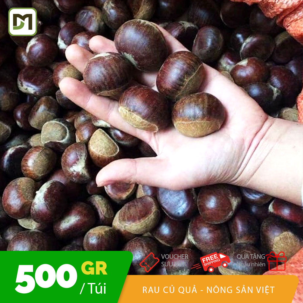 Túi 500gr Hạt dẻ  cơm vàng đặc sản Sapa