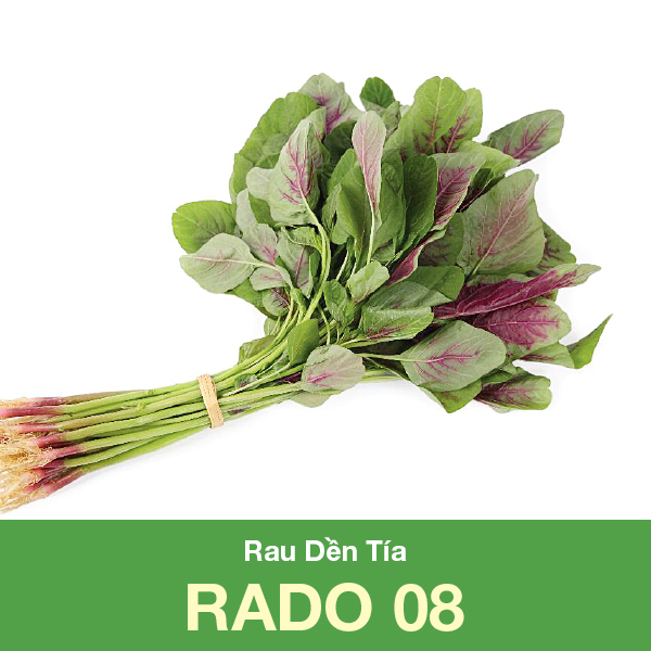 Hạt Giống Rau Dền Tía Rado 08
