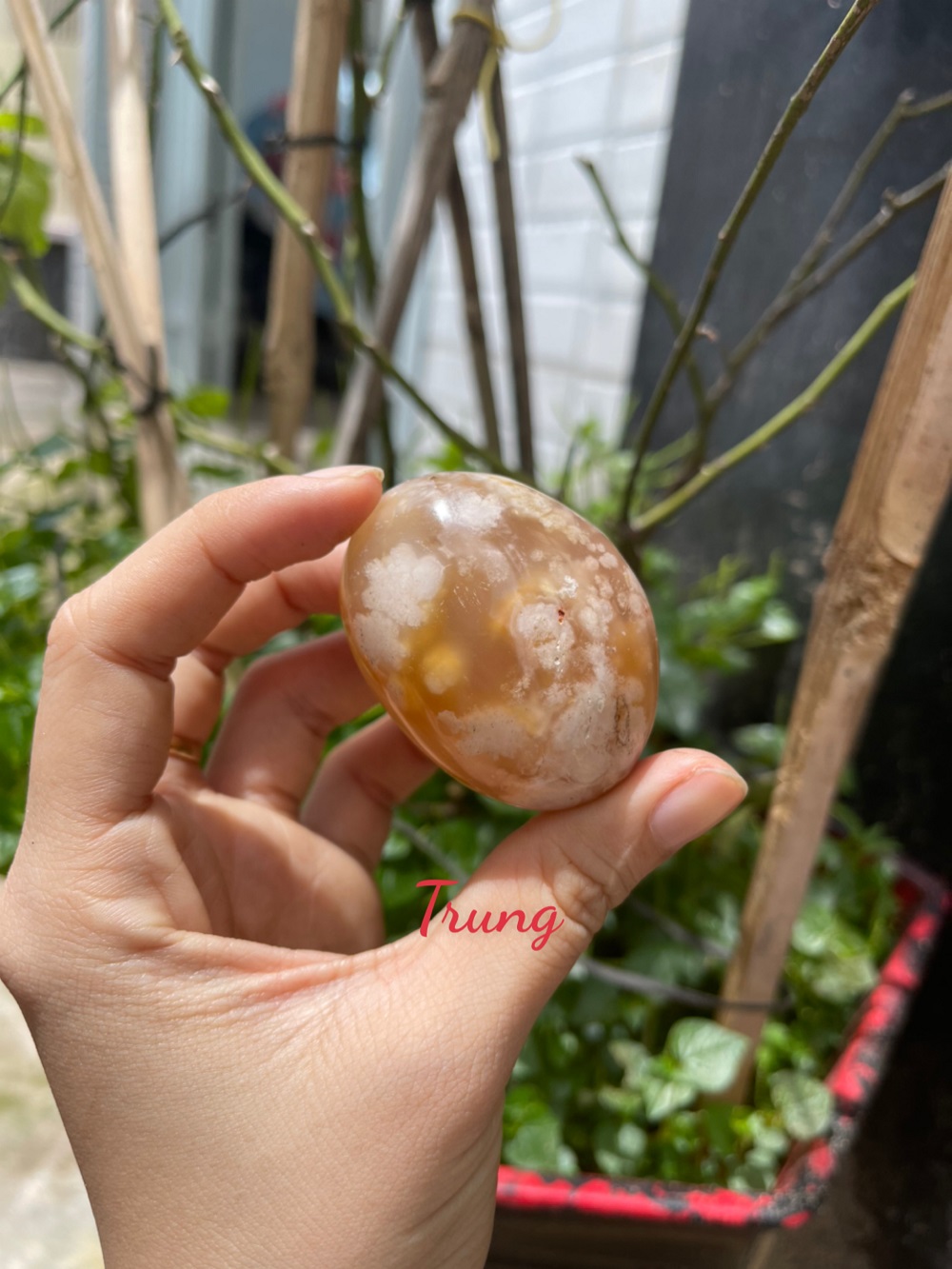 Palm Blossom Agate - Đá Mã Não Hoa Anh Đào | CADA DECOR