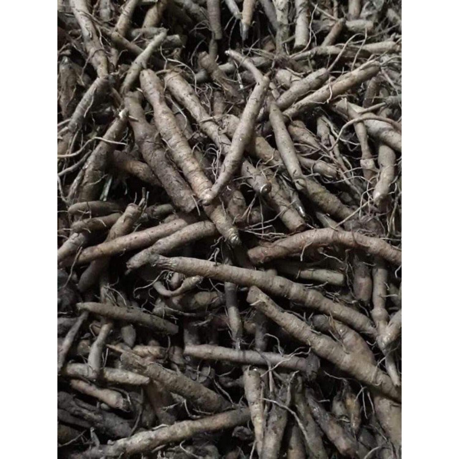 Sâm Cau Đen khô (sâm tiên mao) 1kg