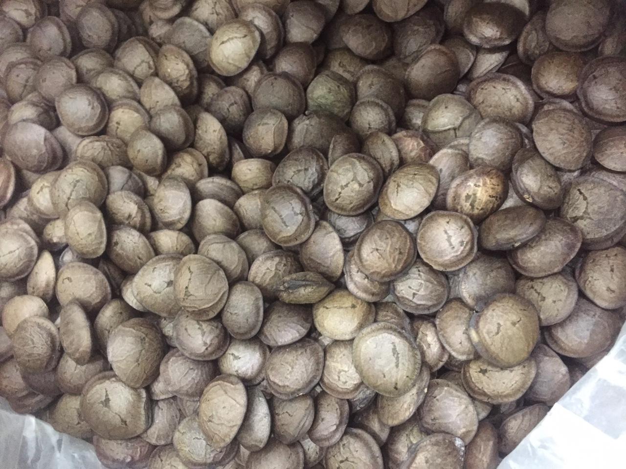 1Kg hạt sachi rang chín ăn liền