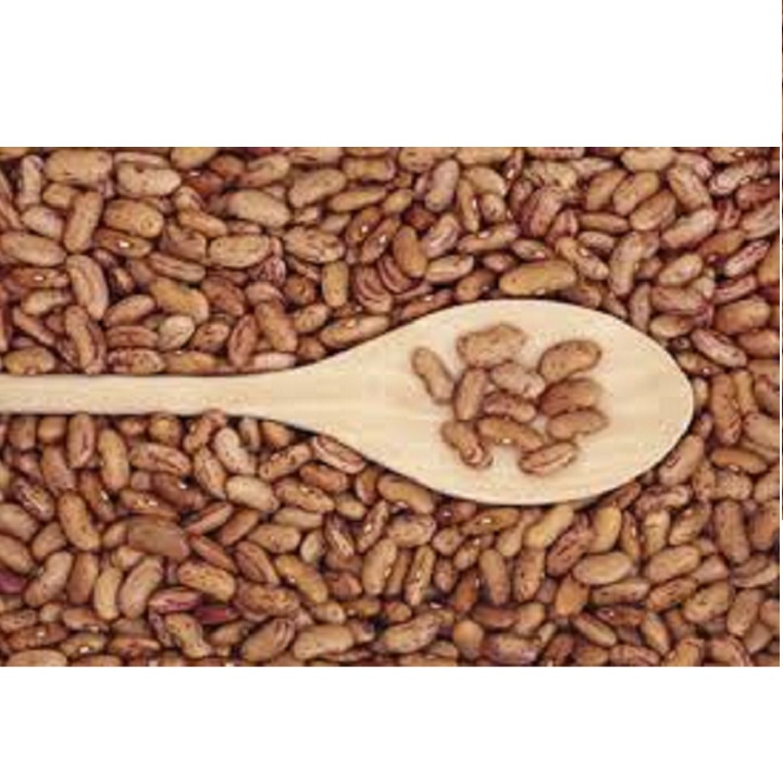 500G ĐẬU CÚC PINTO BÒ ĐỘI NÓN