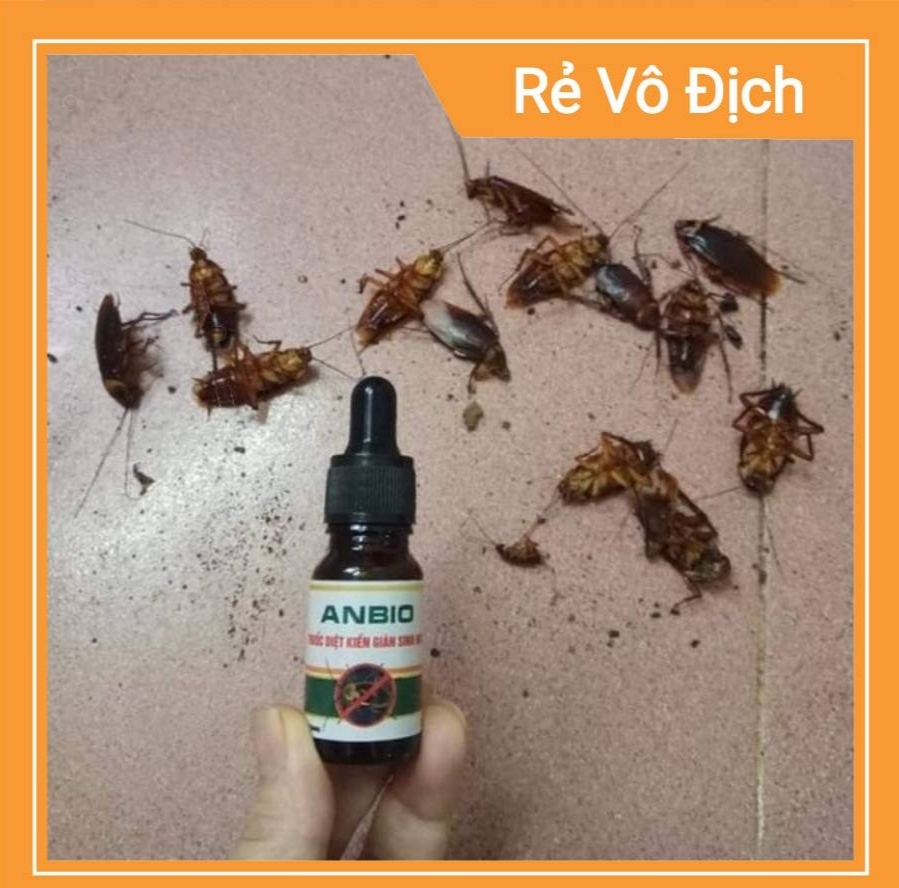 [HCM]Combo 50 lọ Thuốc Diệt Kiến Gián Anbio