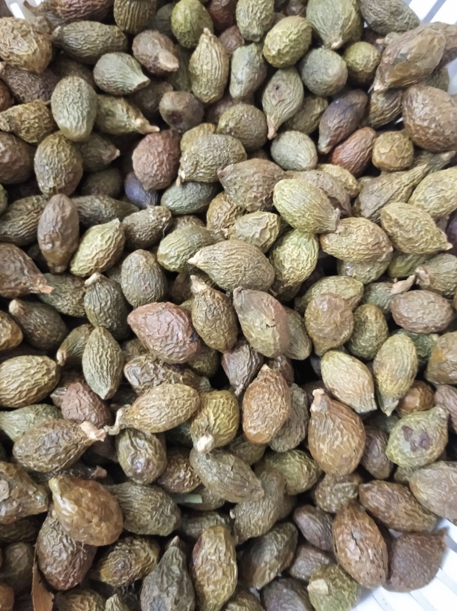 Hạt Đười Ươi Bay 1kg (Loại 1)